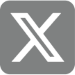 x logo